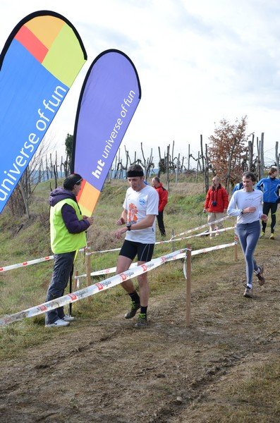 Tek Biljanski gri 269 i 347